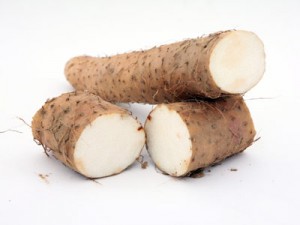 Wild-Yam-Root-Picture-300x225